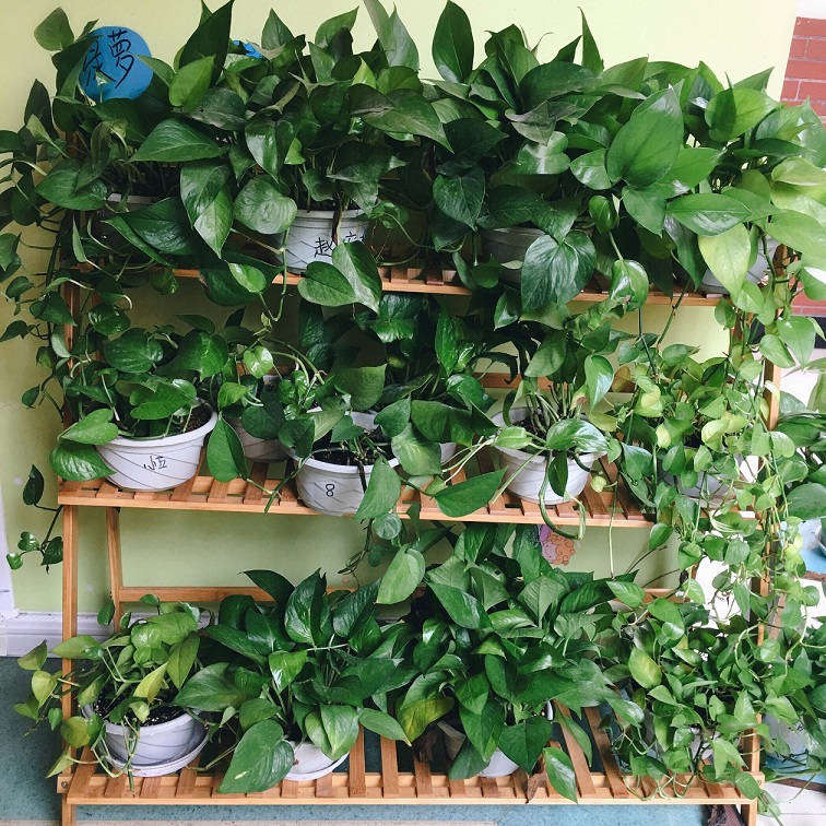 QQ圖片20181122095146.jpg QQ圖片20181122095146.jpg