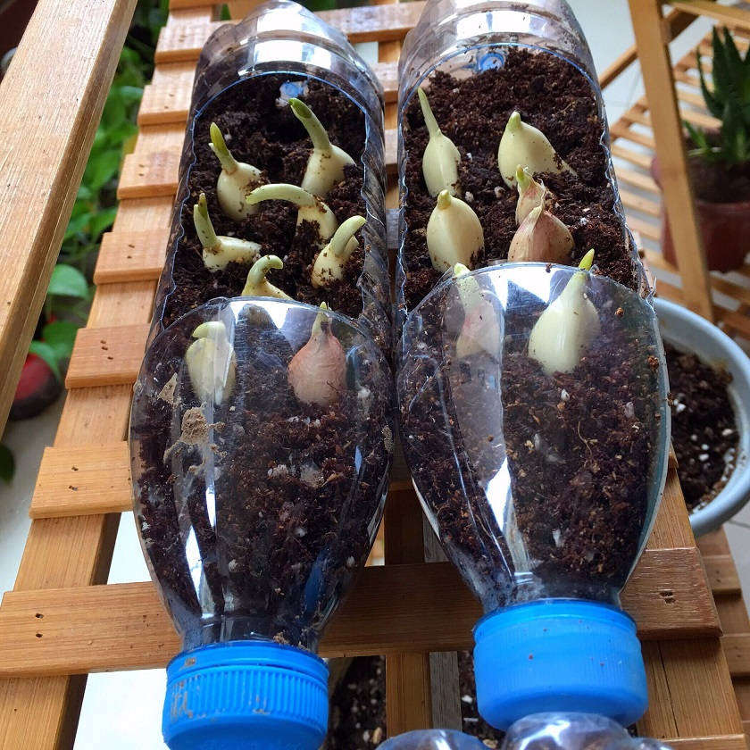 QQ圖片20181122095119.jpg QQ圖片20181122095119.jpg