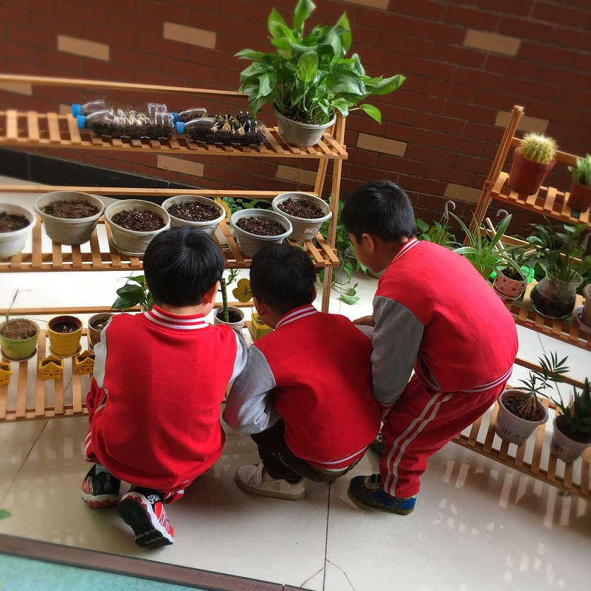 QQ圖片20181122095037.jpg QQ圖片20181122095037.jpg