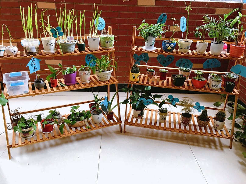 QQ圖片20181122095104.jpg QQ圖片20181122095104.jpg